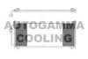 AUTOGAMMA 102786 Condenser, air conditioning